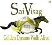 Sai Visag